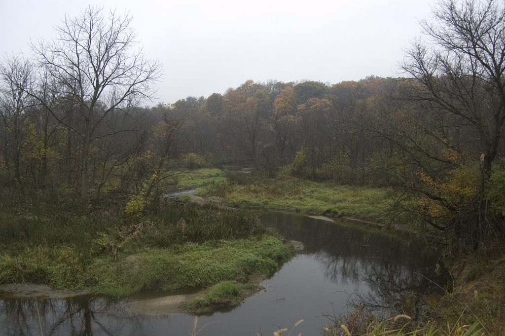 View of Bluff Creek in the Fall.