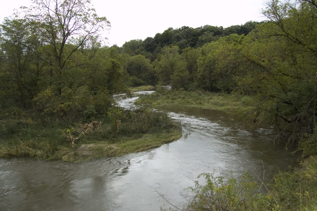 A view of Bluff Creek in the Spring.