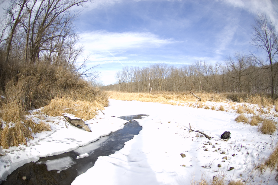 A view of Bluff Creek in the Winter frozen over but with some open water