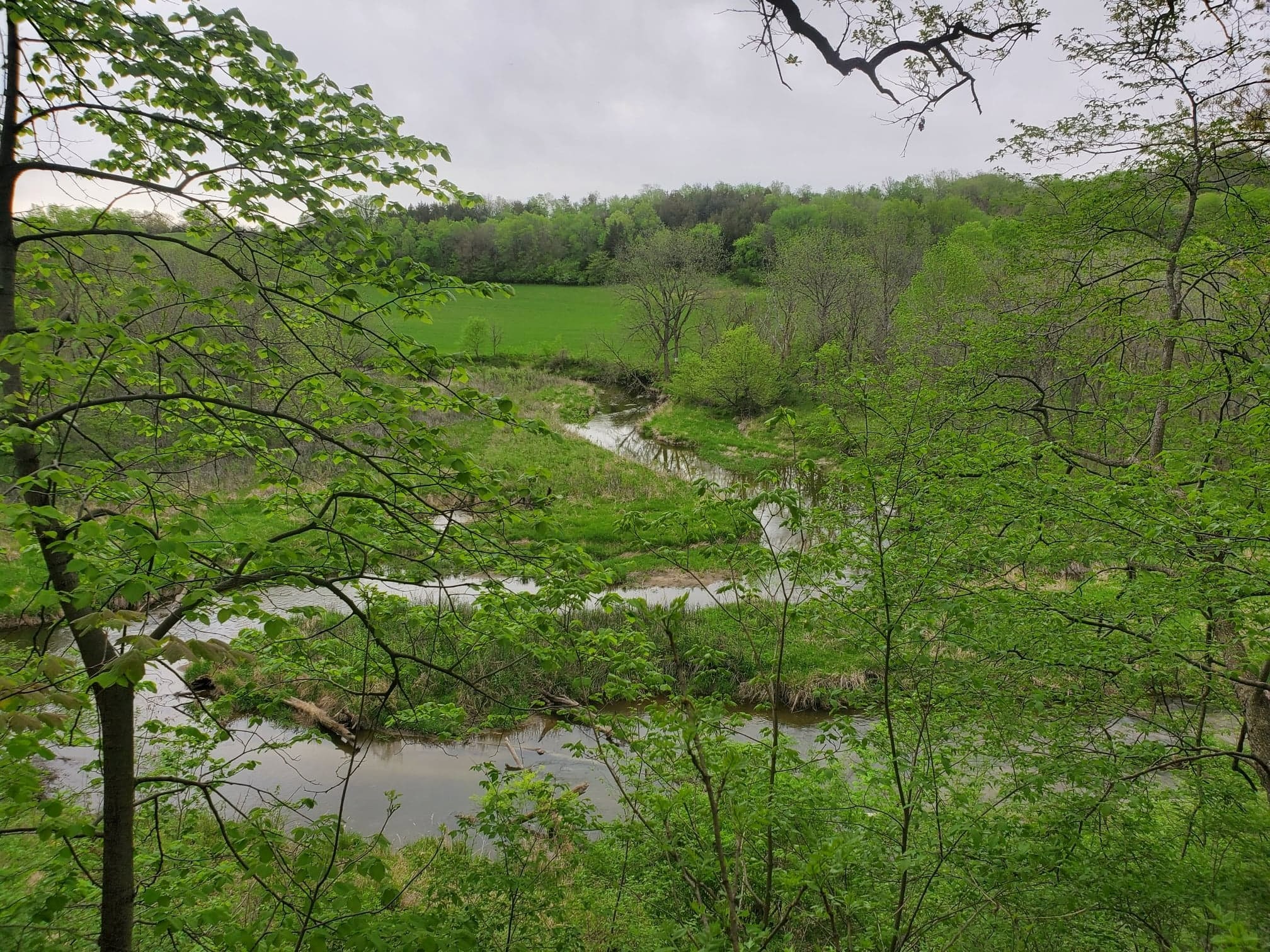 View of a rivers and green fields.